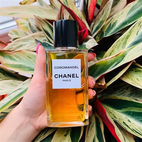 chanel coromandel eau de parfum proce|chanel coromandel parfum sample.